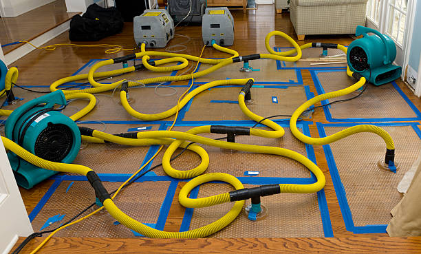 Professional Structural Drying And Dehumidification technician working in Saratoga, CA